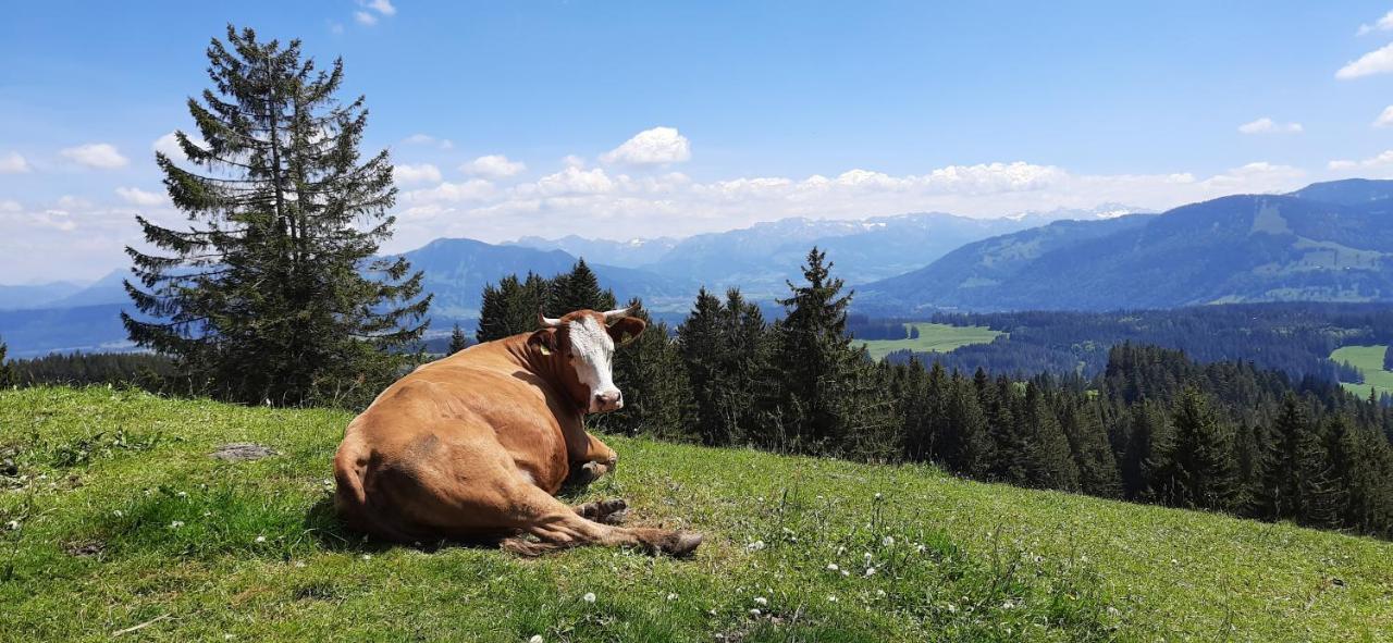 Ferienwohnung Boeck, Wengen Im Allgaeu Weitnau Εξωτερικό φωτογραφία