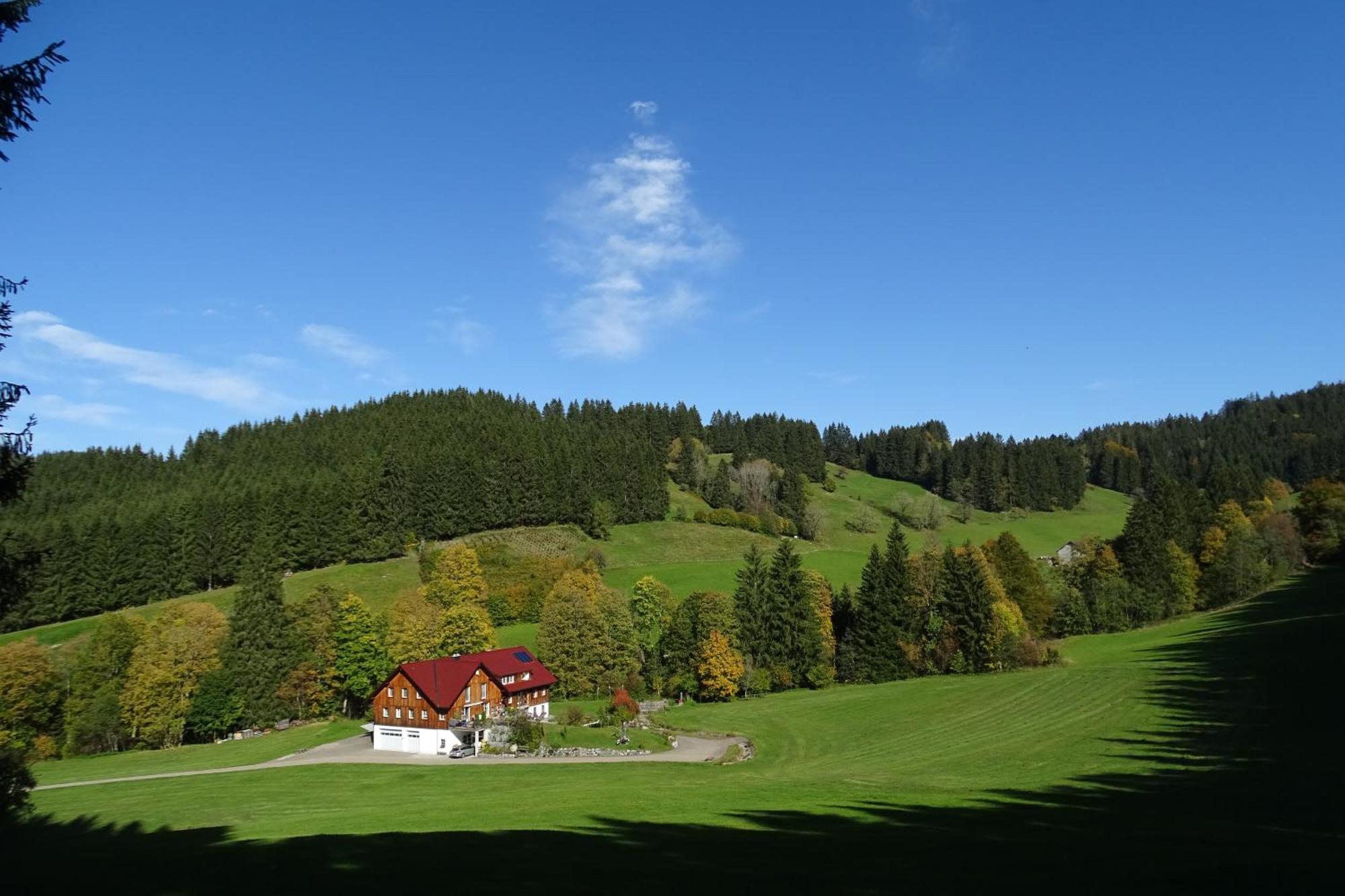 Ferienwohnung Boeck, Wengen Im Allgaeu Weitnau Εξωτερικό φωτογραφία